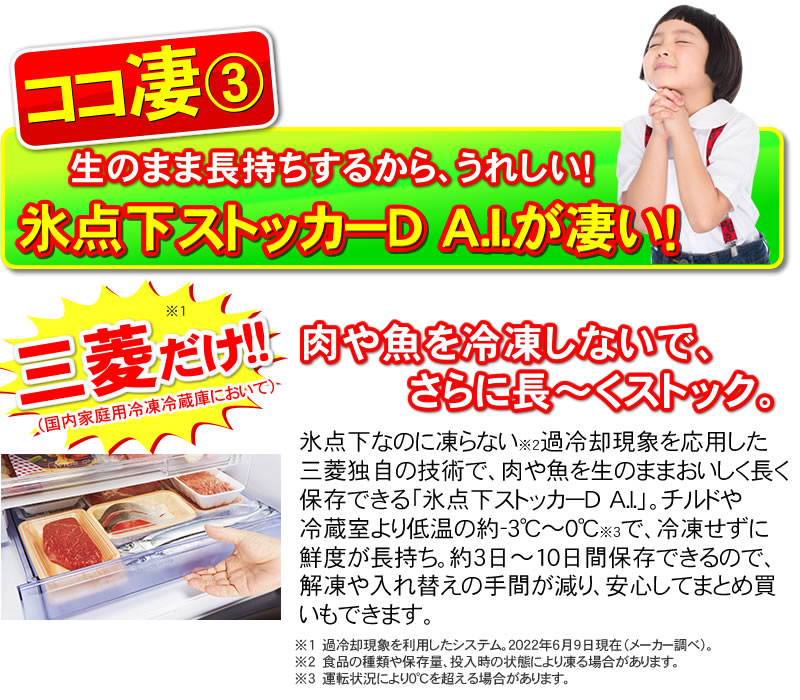 氷点下ストッカーD　AIがすごい！