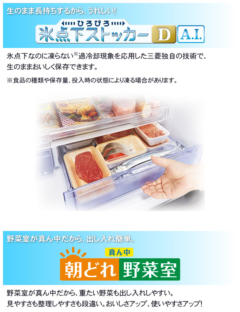 ひろびろ氷点下ストッカーD AI