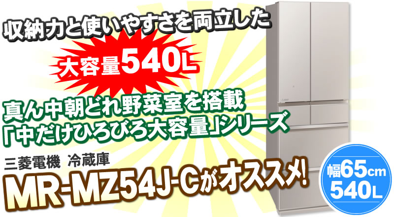 三菱電機 MITSUBISHI MR-MZ54J-C　