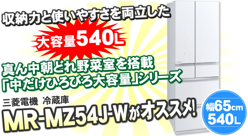三菱電機 MITSUBISHI MR-MZ54J-C　