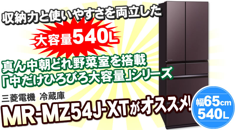 三菱電機 MITSUBISHI MR-MZ54J-C　